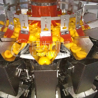 Turnkey Project Ingeblikt Fruit Perzik Ananas Schoonmaken Vulling Verpakking Verwerking Lijn