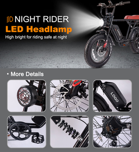 USA EU Warehouse 20 Inches Fat Tire <strong>Powerful</strong> <strong>Ebike</strong> for Adults 48V 750W Electric Fatbike Full Suspension Hybrid Electric Bike - Product Image 6