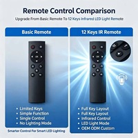 Control Remoto Inteligente con Luz LED e Infrarrojos JCXK de 12 Teclas, Plástico ABS, OEM, ODM, Personalizado