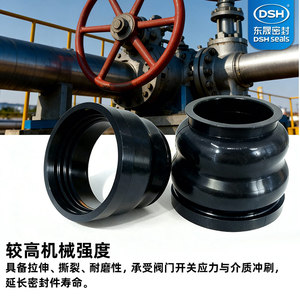 Joint d'étanchéité en caoutchouc Dsh pour l'industrie pétrolière, pièces standard 150 degrés, joint anti-poussière de forme exogène - Product Image 2