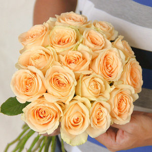 Rosa <span class=keywords><strong>de</strong></span> <span class=keywords><strong>Jade</strong></span> <span class=keywords><strong>de</strong></span> Rama Dorada, Corte Fresco Hidropónico, Tratamiento Ahorrador <span class=keywords><strong>de</strong></span> Agua, Base Dounan, Yunnan, 50cm, Día <span class=keywords><strong>de</strong></span> la Madre - Product Image 5