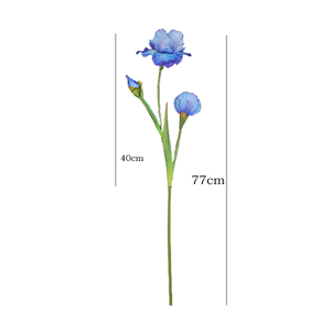 Fabricant <span class=keywords><strong>de</strong></span> fleurs d'<span class=keywords><strong>iris</strong></span>, vente en gros <span class=keywords><strong>de</strong></span> fleurs d'<span class=keywords><strong>iris</strong></span> artificielles <span class=keywords><strong>de</strong></span> haute qualité, échantillon gratuit, décoration <span class=keywords><strong>de</strong></span> mariage, aménagement paysager, <span class=keywords><strong>jardin</strong></span>, <span class=keywords><strong>iris</strong></span> - Product Image 5