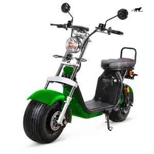 2022 Promotion Price Elektro Motorcycle Scooter 1000W 1500W 2000W 3000W Electric Chopper Bike With Eec COC DOT