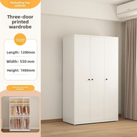 Armoire Pliante Moderne en Acier, Design Écologique, 2 Étagères, Autoportante pour Rangement de Chambre d'Appartement, Meuble de Maison