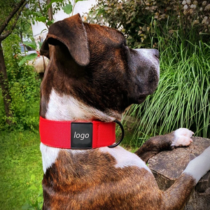 <span class=keywords><strong>Collar</strong></span> de perro táctico personalizado, gran calidad, fuerte, grueso, resistente, hebilla de Metal, para perro - Product Image 6