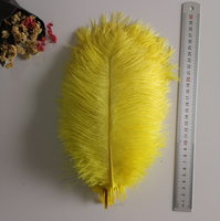 Offre Spéciale Plumes d'autruche artificielles blanches 55-60 cm, longues et naturelles, pour fêtes et mariages, vente en gros à prix abordable