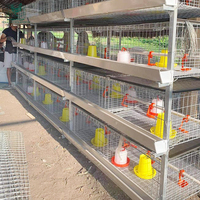 Offre Spéciale : Équipement Agricole – Système de Cage à Poulets de Chair Galvanisé Type H pour Fermes en Climat Tropical Africain