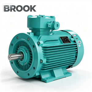 Vendre Moteur Électrique à Induction Triphasé BROOK 4kw 5.5kw 7.5kw 10kw 45kw 55kw 75kw 90kw 110kw 132kw 200kw 250kw 280kw 315kw - Product Image 2