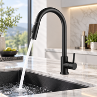 Robinet de cuisine extractible en acier inoxydable commercial, mitigeur eau chaude et froide pour projets hôteliers et villas, solutions salle de bain et cuisine