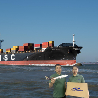 Assurance gratuite Tarifs d'expédition/Services Seacargo Chine vers USA/Europe/Monde FBA Transitaire Agent Logistique
