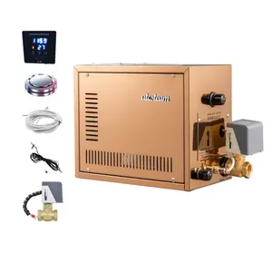 High Quality Golden Steam Generator For Wet Steam Sauna Room Sauna Steam Generator