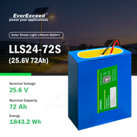 Langlebige LiFePO4 Lithium-Ionen-Batterie mit Smart BMS 72Ah für Solarstraßenbeleuchtung und netzunabhängige Energiespeichersysteme