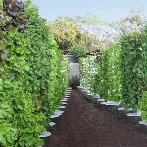 Grand ensemble complet de tour hydroponique verticale aéroponique avec matériau ABS et 6 à 15 niveaux pour la culture de légumes-feuilles - Product Image 5