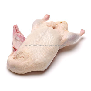 ขายส่งเป็ดทั้งตัวแช่แข็ง ซื้อ สั่งซื้อขายส่งเป็ดทั้งตัวแช่แข็ง - Product Image 3