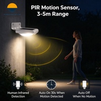 Lampe murale solaire à détecteur de mouvement PIR 1W, portée de détection 3-5m, 16 LED, étanche IP65, en aluminium, pour jardin