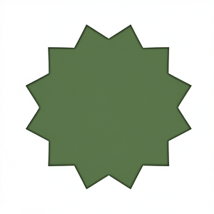 Douille à chocs Fervi Xzn pour outils de réparation automobile, conception à 12 points - Product Image 2