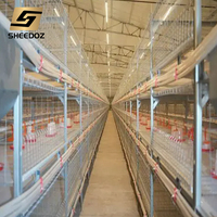 Cage de pontage pour poules pondeuses, équipement d'élevage avicole, cages en batterie pour poulets de chair, cages de pontage pour poulets de ferme