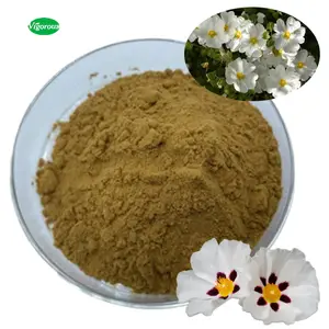 प्राकृतिक कार्बनिक थोक कारखाने 20% Polyphenols Cistus incanus निकालने पाउडर