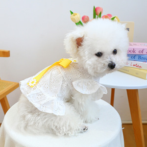 PETCIRCLE Pet Circle Spring/Summer Pet Clothing for Dogs and Cats - New <b>Daisy</b> Dress - Product Image 2