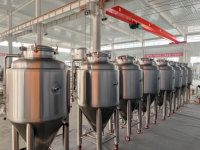 Cuve de fermentation CARRY de 100 gallons (300 litres), cuve de fermentation Cbet Brewing Solutions, fermentateurs à bière fabriqués en Chine
