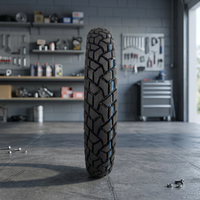 Pneu de moto Dolfin (TT) 2.75-18 6 PR Arrière-GAP |   Pneu à chambre à air |   Pneu arrière de moto de qualité supérieure