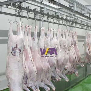 Automatische Schafs ch lacht ausrüstung Linie Fleisch verarbeitung förderer Internat ional Halal Food Processing Sheep Slaughter house