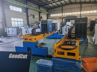 Machine de découpe de métal au plasma à portique CNC à double tête personnalisée avec coupe-gaz