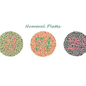 38 플레이트 가네하라 이시하라 테스트 차트 책 색 결핍 감지 광학 기기 - Product Image 5