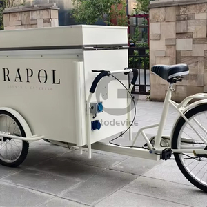 Carro de helado de café portátil triciclo plegable fácil de mover carro quiosco de venta al aire libre móvil - Product Image 1