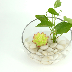 Artisanat de quartz de pierres de rivière polies naturelles d'approvisionnement d'usine pour des cailloux de rivière de jardin - Product Image 3