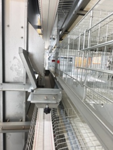 Cage à canards galvanisée à chaud avec <span class=keywords><strong>nid</strong></span> à œufs anti-salissures pour élevage commercial de canards - Product Image 4