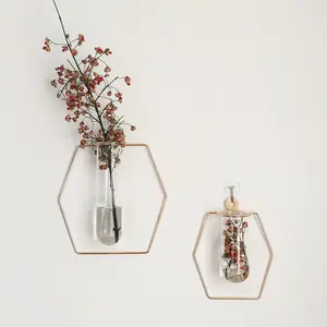 Скандинавская геометрическая форма, роскошная металлическая настенная железная пробирка, стеклянная ваза, простой цветок, украшение для дома