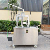 304 RVS Kokosnoot Schilmachine 110V 60Hz Automatische Kokosnoot Schilmachine voor Overzeese Fruit- en Drankverwerking