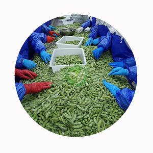 <span class=keywords><strong>Edamame</strong></span> Congelato XMSD Lavorato Professionalmente in Baccello, Garantendo Texture e Sapore Premium - Product Image 2