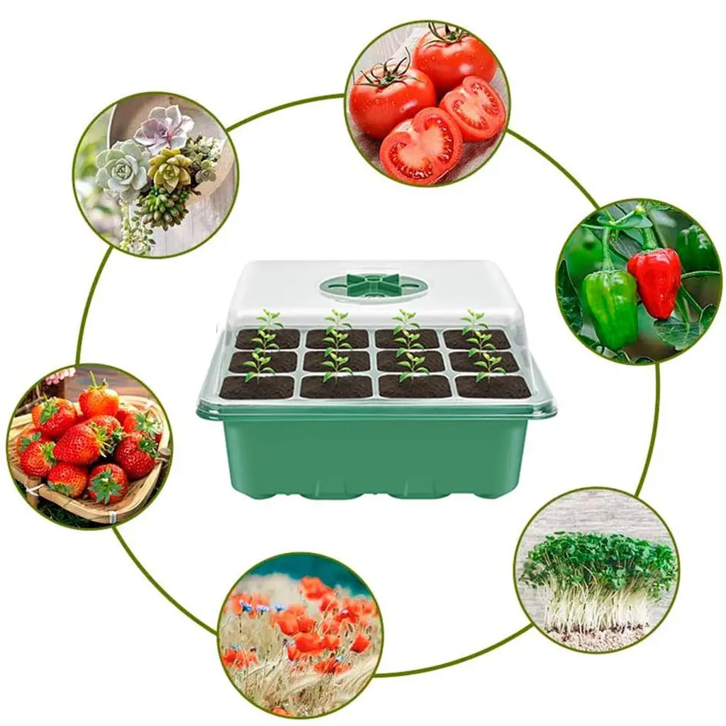 DD1688 Humidity Dome Base 3 Pack Seedling Starting Trays 36 Cells Growing Plant Propagator Seed Starter Kit