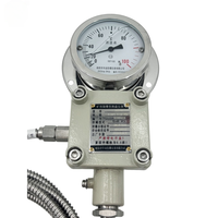 Ma Certified Mining Explosion Proof Temperature Gauge YBT100 Dial 0-100C with Pt100 Remote Output Ex DI Mb