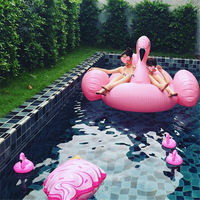 Bouée gonflable géante en PVC pour adulte, modèle cygne flottant, pour célébrités d'Internet, pour la natation