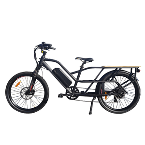 Klassieke Stijl Aluminiumlegering 2 Wielen Cargo Ebike 500W 750W Elektrische Fiets Met Lange Staart Leveren Ebike Voor Volwassenen - Product Image 5