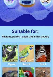 Complément utile pour la santé des oiseaux, gouttes nutritionnelles pour la <span class=keywords><strong>grippe</strong></span> des pigeons - Product Image 5