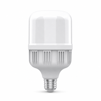 Ampoule LED d'urgence à batterie rechargeable 8,8W 12W 20W CRI 90 E26 E27 B22 Lampe torche pour panne de courant à domicile