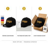 Op maat gemaakte bedrukte baseballcap OEM 6-panel gebogen klep katoenen pet sportcap logo verstelbare snapback bulk