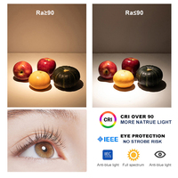 Haute qualité 3W 6W 7W 12W 18W Commercial Shop Hotel Home Noir Dimmable Réglable Magnétique Led Rail Lumière