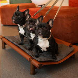 Camas para Mascotas Plegables de Madera Maciza con Logotipo Personalizado, Camas Elevadas de Lujo para Perros y Gatos, Lavables, para Mascotas Pequeñas y Grandes, Venta al Por Mayor - Product Image 6