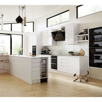 DAIYA armoires de cuisine finition laque armoires de cuisine