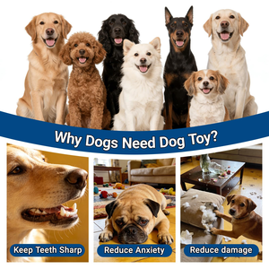 Vente en gros usine : Jouet pour chats et chiens en EVA durable, style classique, durable, avec balle creuse pour le nettoyage agressif des dents - Product Image 6