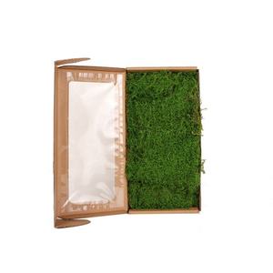 Hoja de alta calidad, <span class=keywords><strong>musgo</strong></span> Natural <span class=keywords><strong>español</strong></span>, <span class=keywords><strong>musgo</strong></span> de pared conservado colorido para decoración de la casa - Product Image 3