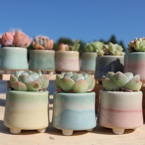 Pot de fleurs créatif arc-en-ciel, style <span class=keywords><strong>urbain</strong></span> minimaliste, moderne et simple, pour plantes succulentes, idéal pour Instagram, <span class=keywords><strong>petit</strong></span> bureau, balcon, jardinage, décoration intérieure - Product Image 3