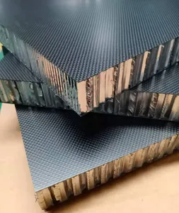 Nomex, köpük, Pp, alüminyum çekirdek ile hafif özelleştirilmiş petek karbon Fiber levha gümüş petek karbon Fiber paneller
