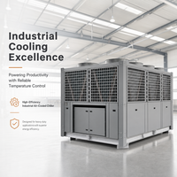 Système de refroidissement centralisé industriel professionnel à économie d'énergie, réfrigération de précision, refroidisseur à vis à air de 280 kW, chauffage