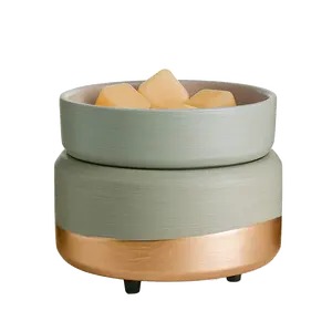Ceramic Wax Melt Warmer Scentsy Warmer 2-in-1 Candle Wax Melter and  Fragrance Warmer for